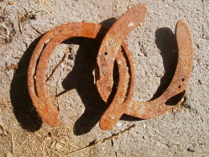 links-horseshoes